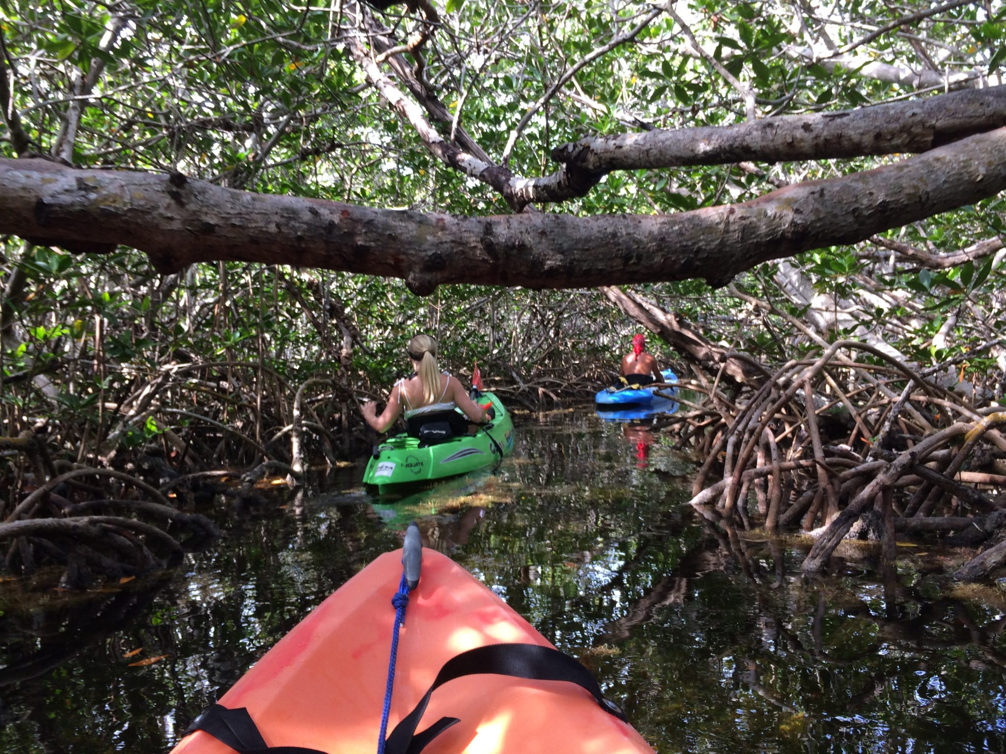 Kayaking in Key West and Stock Island area Fun in Key West