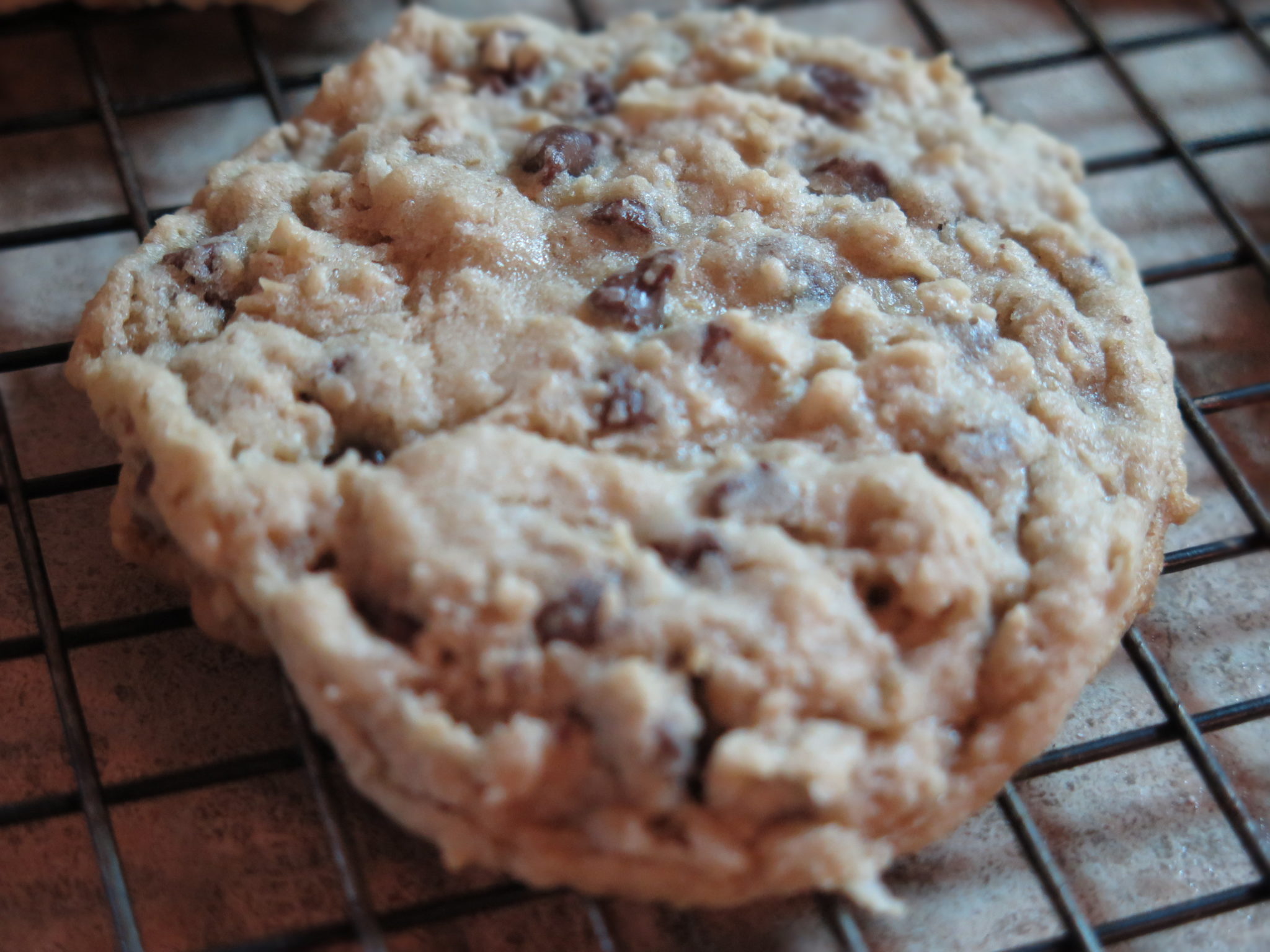 Potbelly Oatmeal Chocolate Chip Cookie Recipe Fun in Key West
